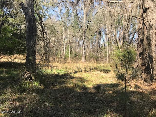 Tbd Tbd Cotton Hill Road Pineland, SC 29934 - Photo 1 of 6 IMG_7450