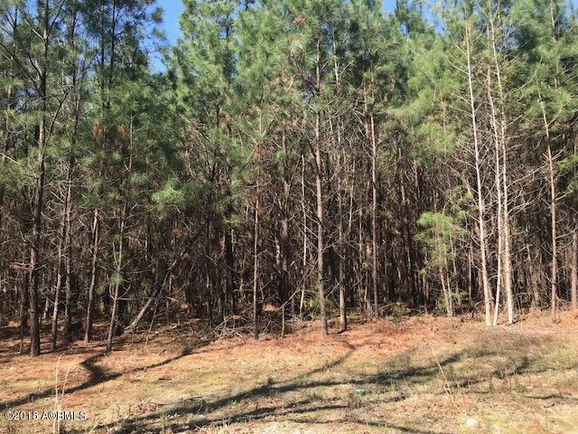 Tbd Tbd Cotton Hill Road Pineland, SC 29934 - Photo 3 of 6 IMG_7449