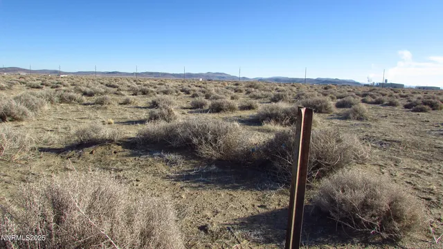 a view of a dry yard