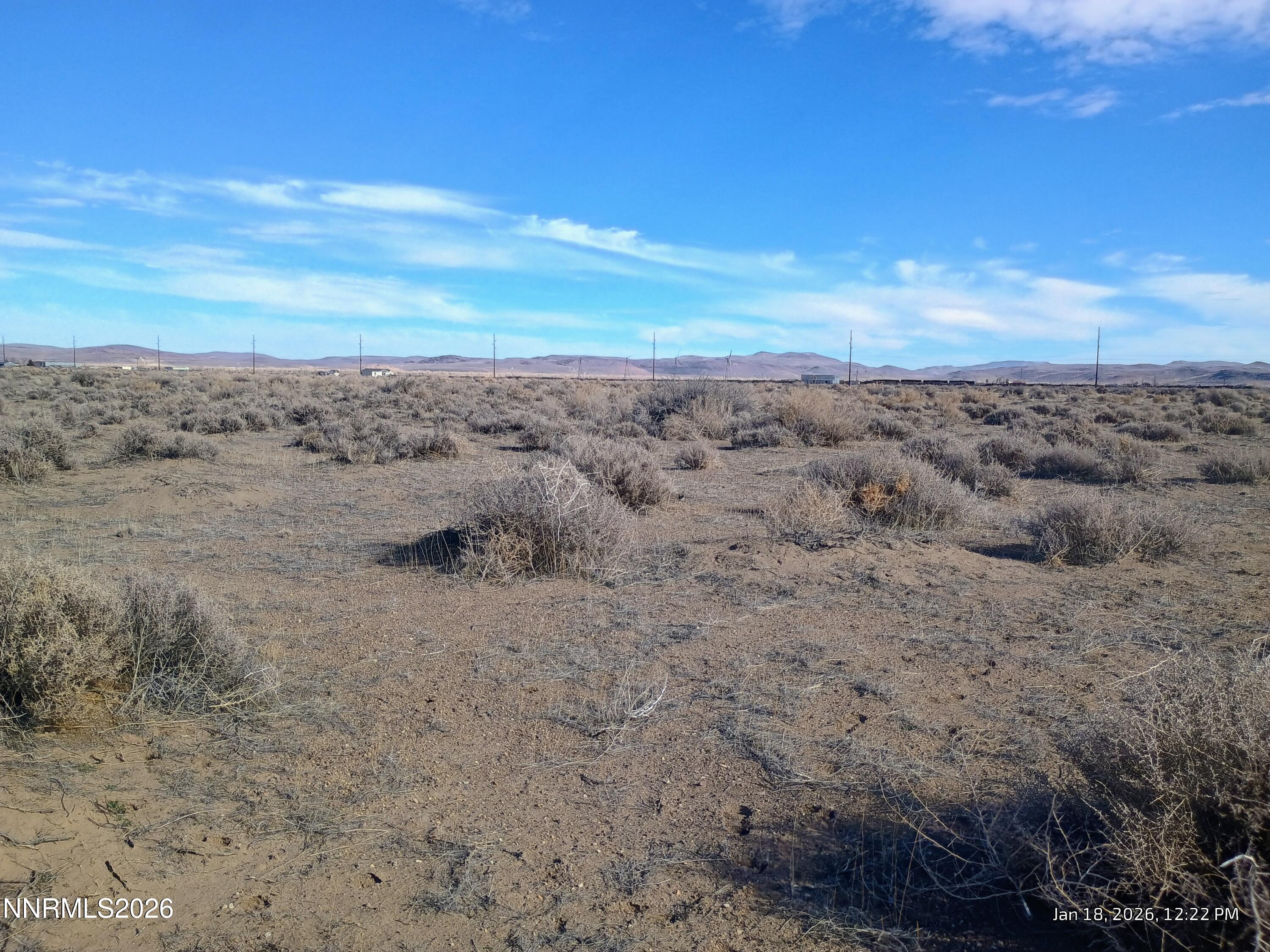 3810 Ft Churchill Street Silver Springs, NV 89429 - Photo 8 of 14 a view of a dry yard with trees