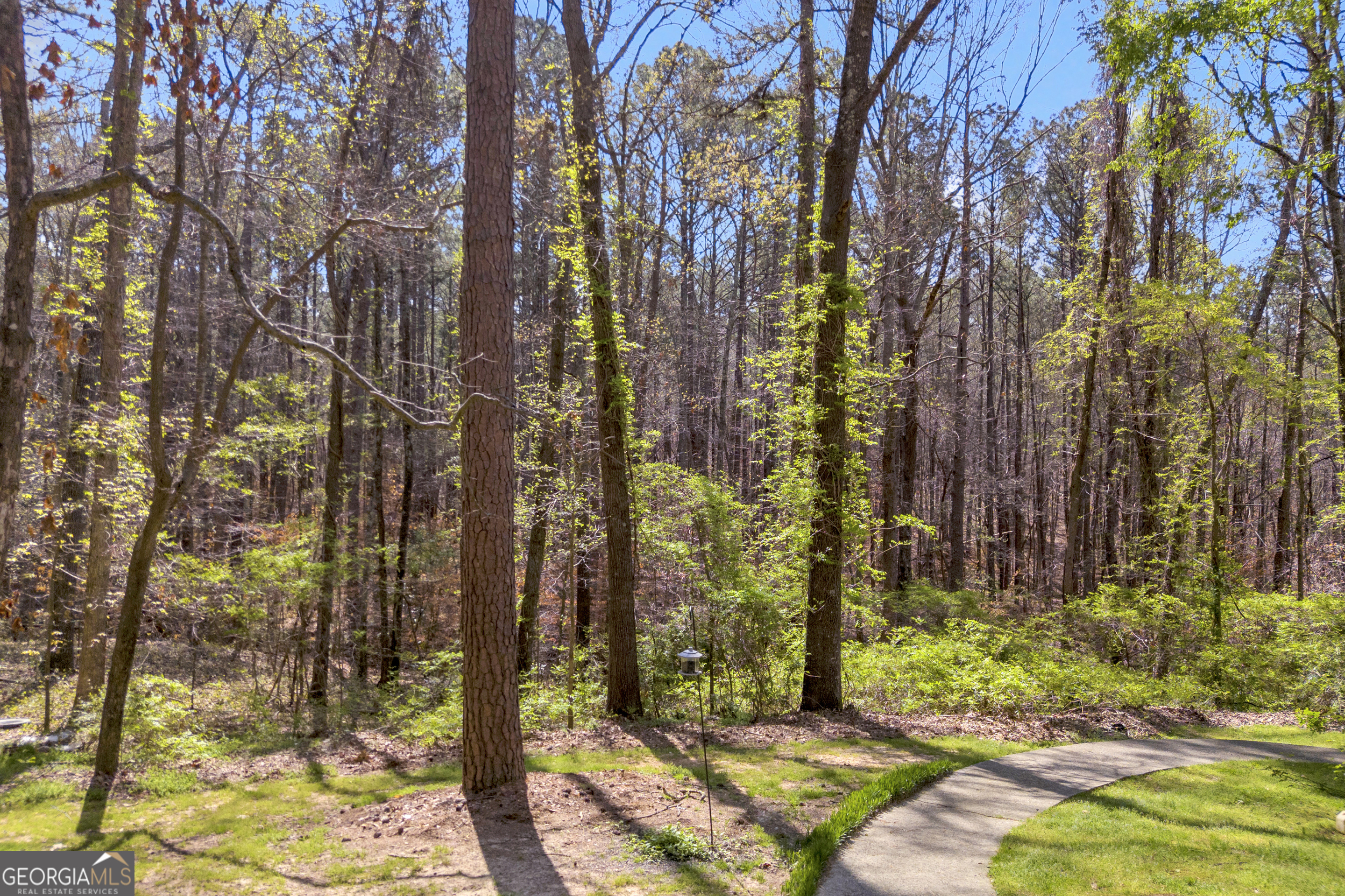 342 Brown Bridge Road Auburn, GA 30011 - Photo 34 of 74