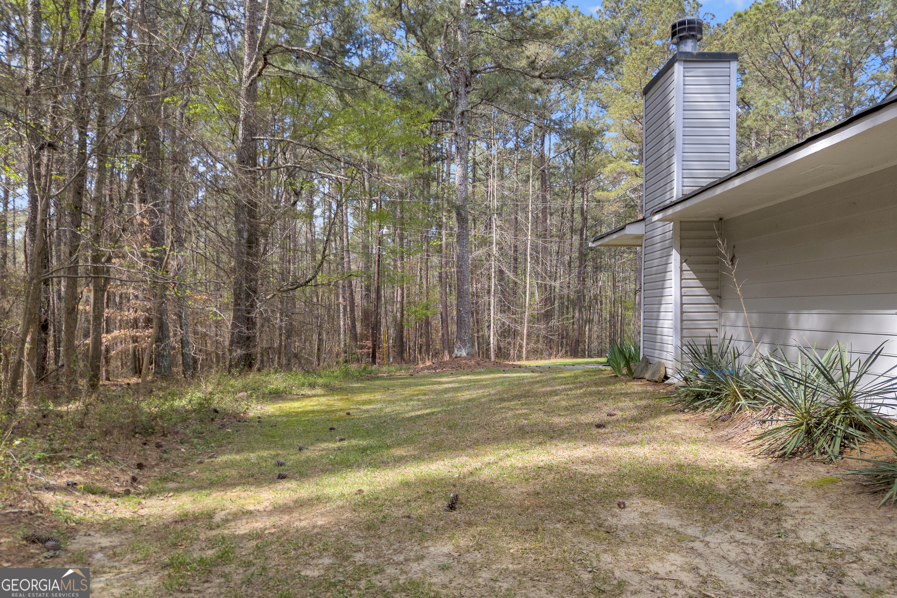 342 Brown Bridge Road Auburn, GA 30011 - Photo 46 of 74 a view of outdoor space with trees