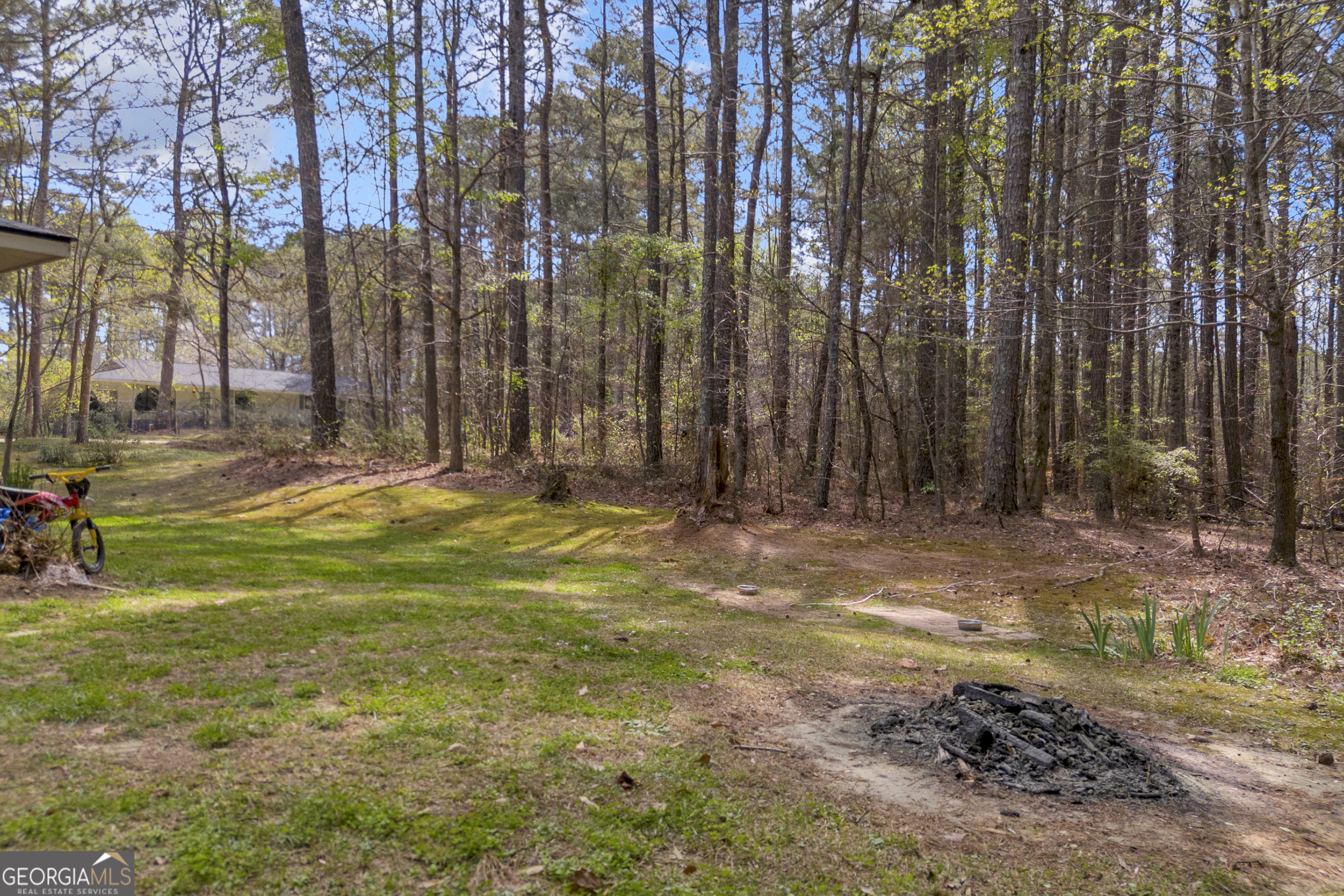342 Brown Bridge Road Auburn, GA 30011 - Photo 54 of 74 a view of a yard with large trees