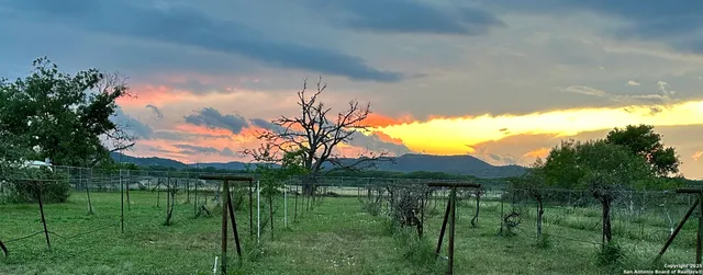 a house view with backyard space