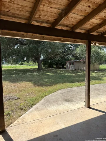a view of a yard with plants