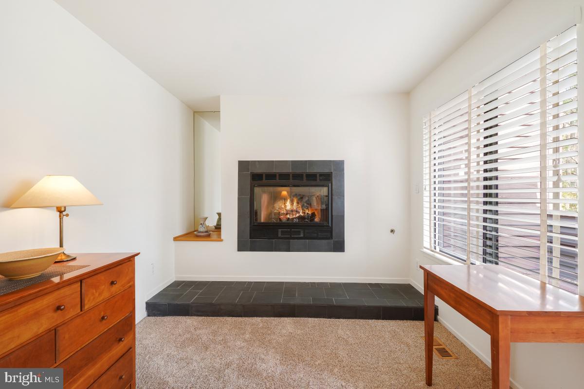 2006 Turtle Pond Drive Reston, VA 20191 - Photo 25 of 49 Gallery Image 25