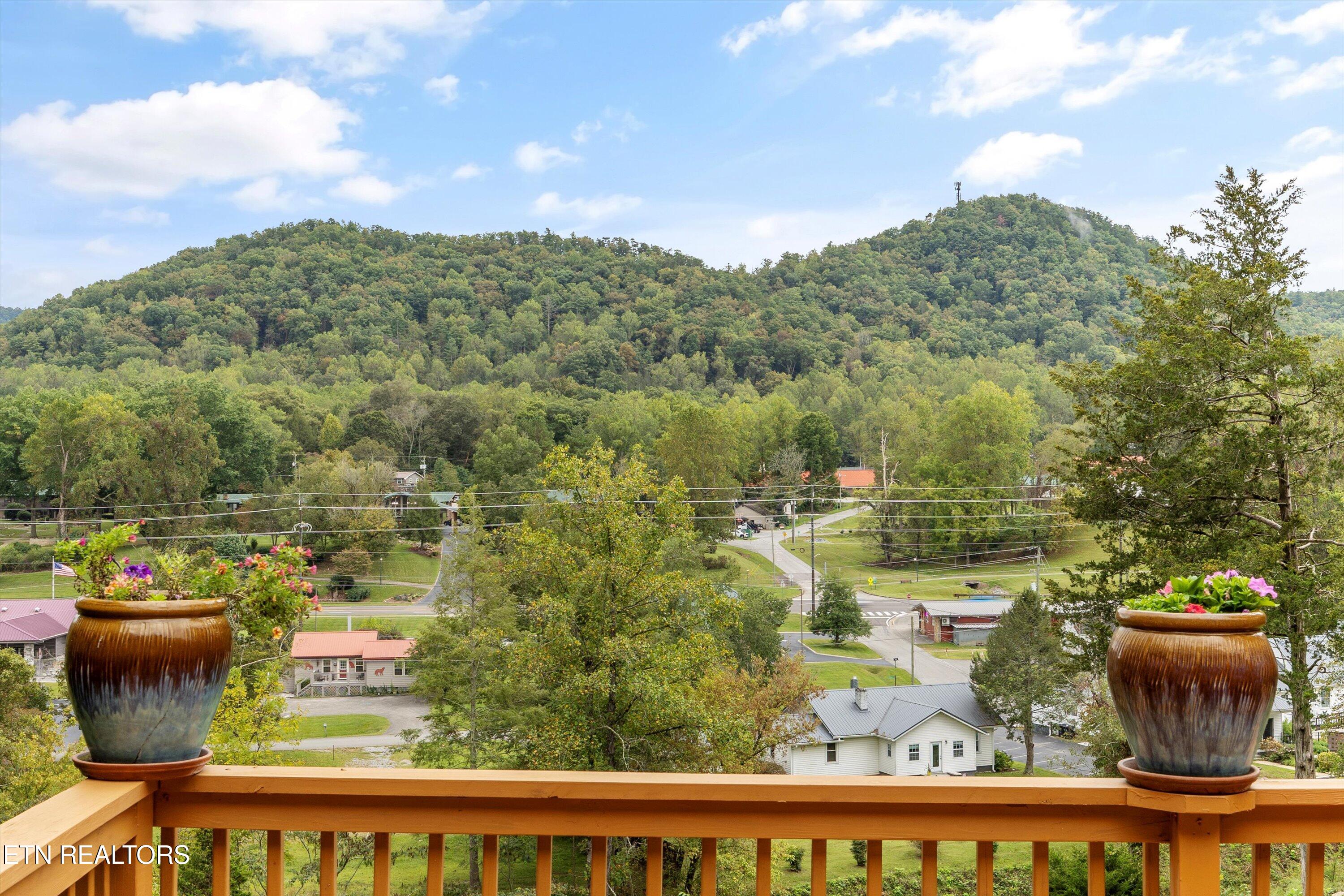 224 Webb Road Townsend, TN 37882 - Photo 31 of 49 31-224 Webb Rd-46