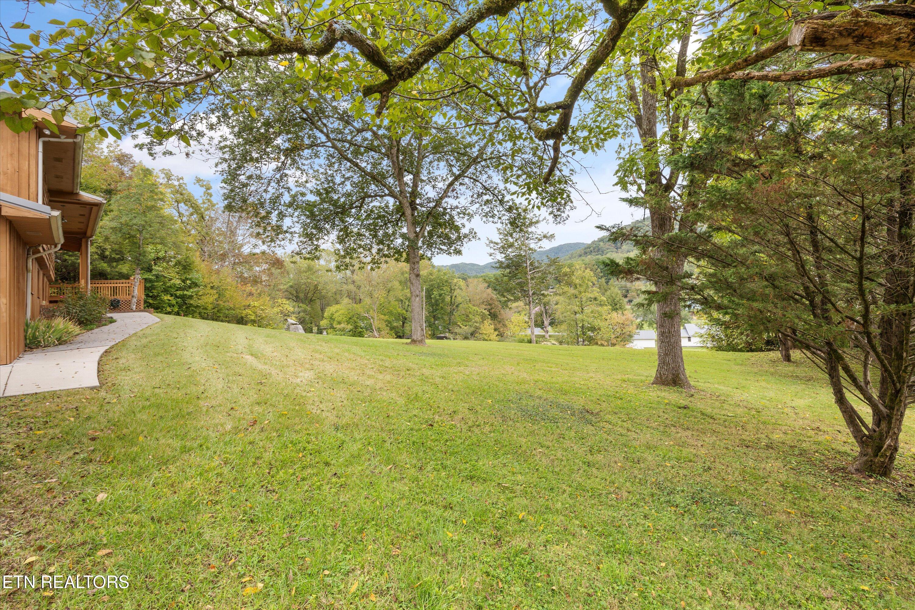 224 Webb Road Townsend, TN 37882 - Photo 38 of 49 38-224 Webb Rd-39