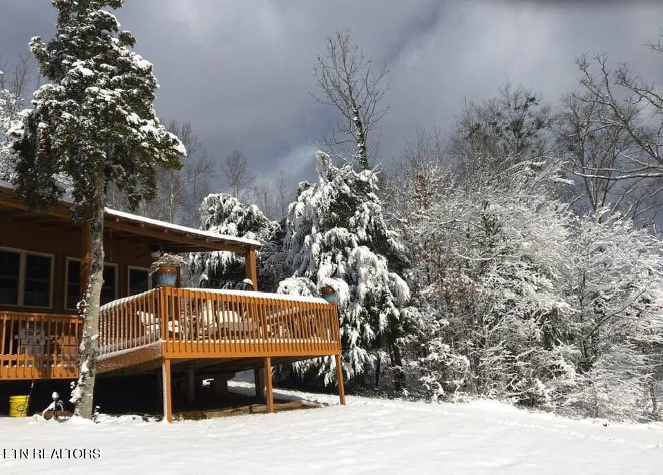 224 Webb Road Townsend, TN 37882 - Photo 43 of 49 IMG_6857