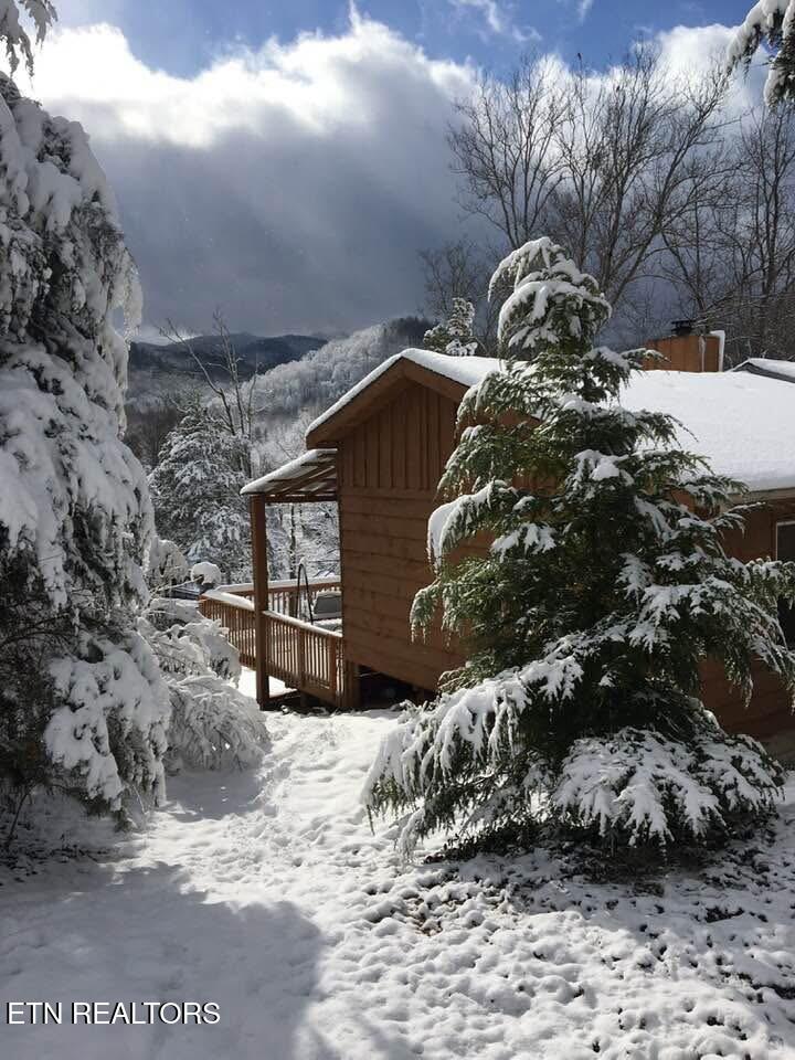 224 Webb Road Townsend, TN 37882 - Photo 44 of 49 IMG_6859