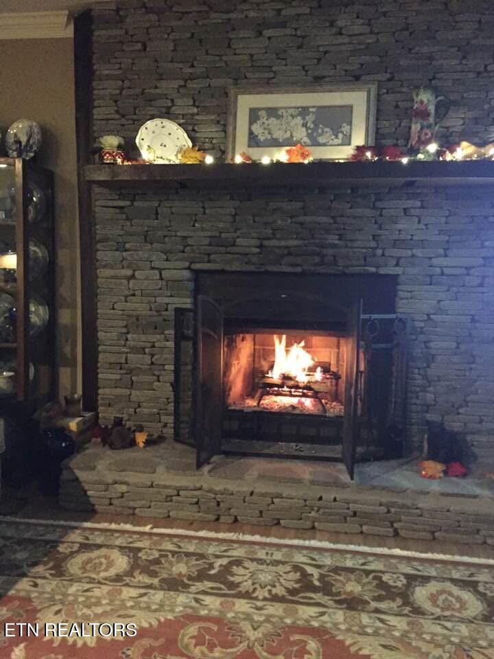 224 Webb Road Townsend, TN 37882 - Photo 45 of 49 IMG_6862