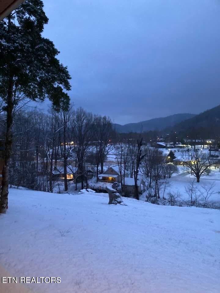 224 Webb Road Townsend, TN 37882 - Photo 46 of 49 IMG_6852