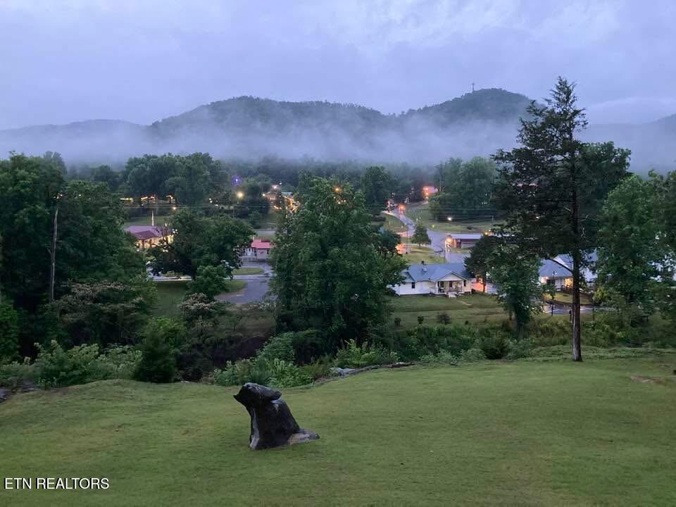 224 Webb Road Townsend, TN 37882 - Photo 47 of 49 IMG_6849