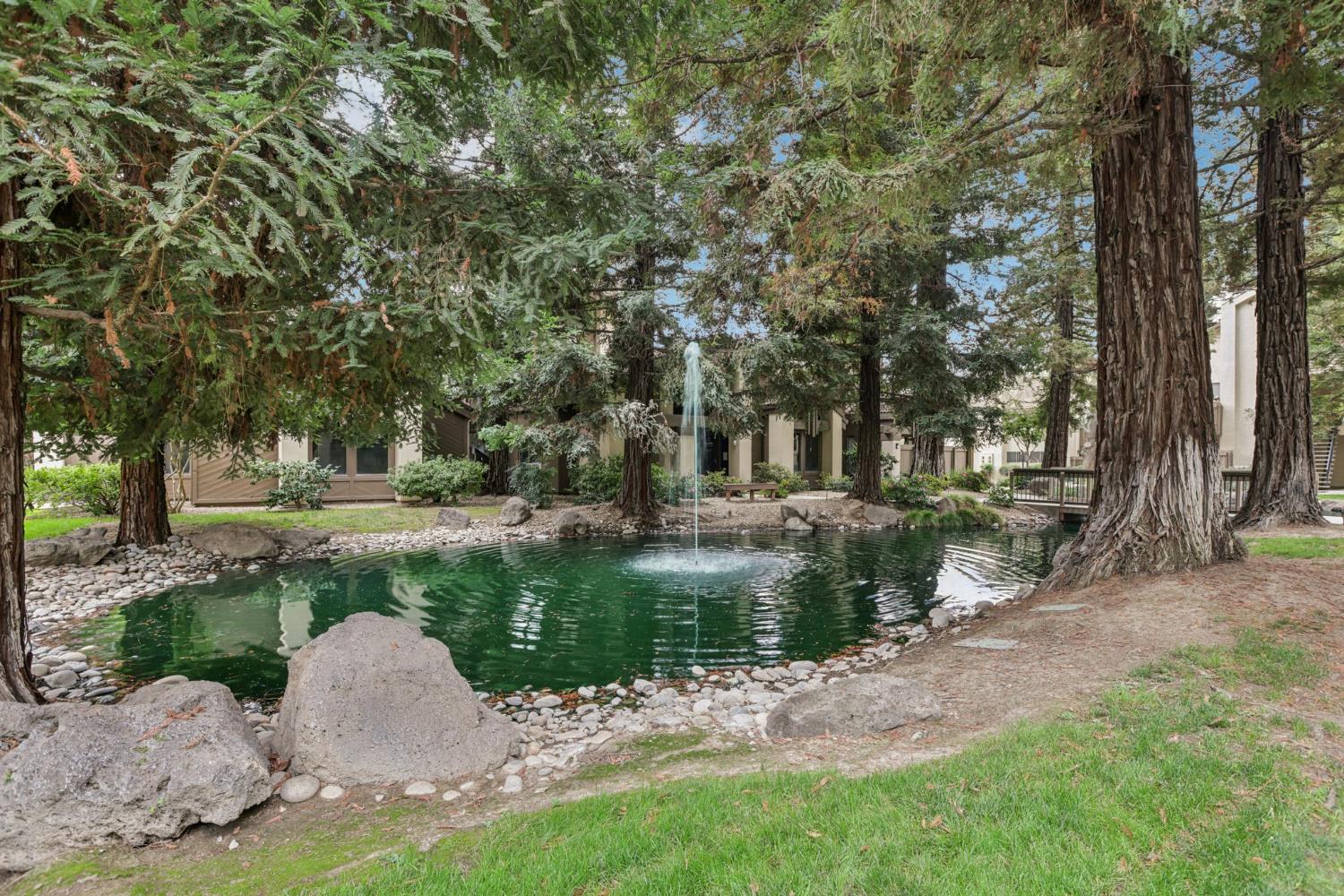 3700 Tully Road, Unit 57 Modesto, CA 95356 - Photo 26 of 34 a view of a park with large trees