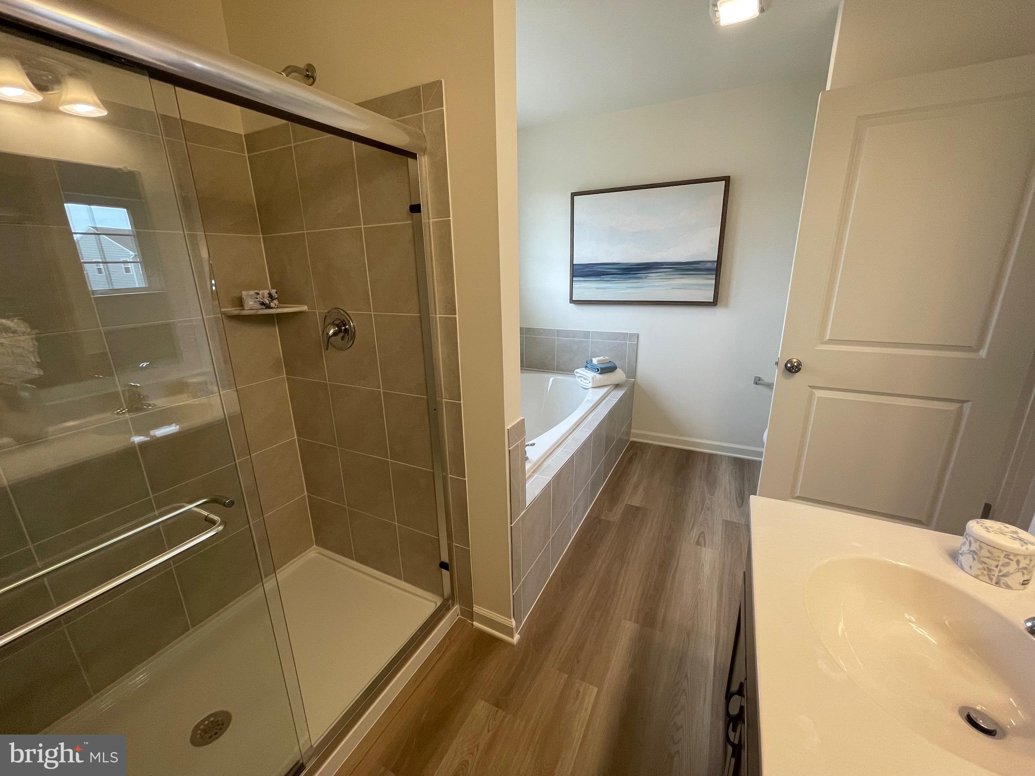 642 Gordon House Way Middletown, DE 19709 - Photo 22 of 25 a bathroom with a tub a sink and wooden floor