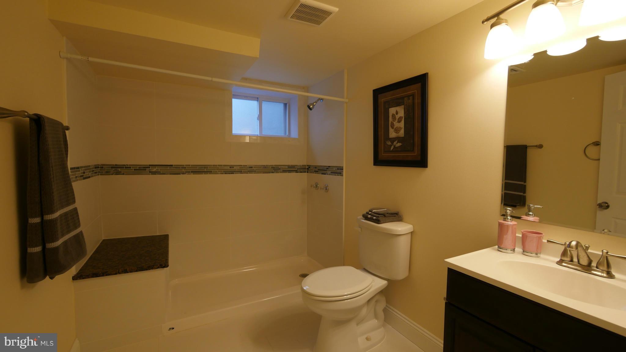 3705 Brightview Street Silver Spring, MD 20902 - Photo 11 of 19 Basement Full Bath