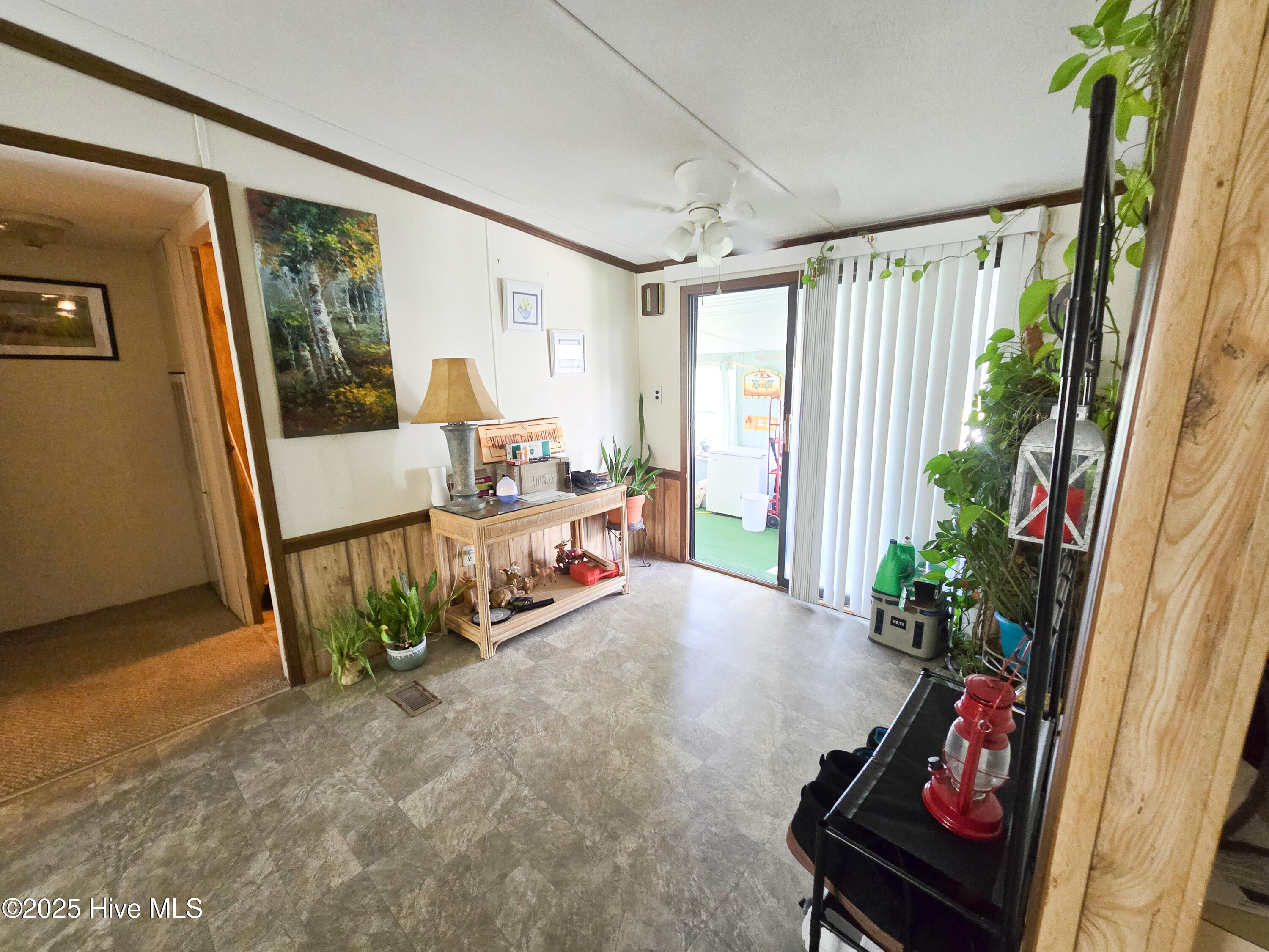 245 Youpon Drive Hubert, NC 28539 - Photo 13 of 21 rear entry