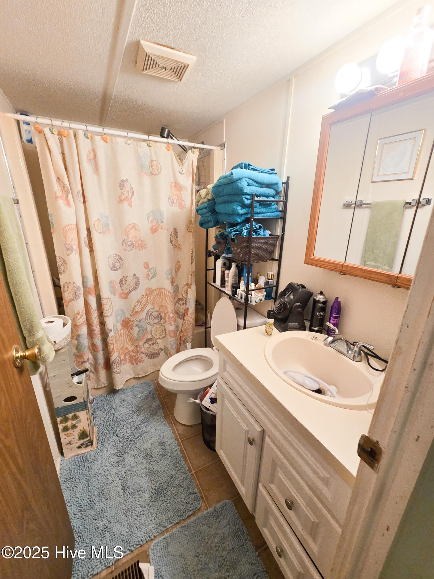 245 Youpon Drive Hubert, NC 28539 - Photo 10 of 21 Secondary bathroom
