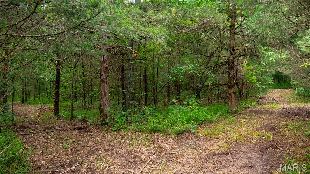 0 Hwy M Cabool, MO 65689 - Photo 28 of 68