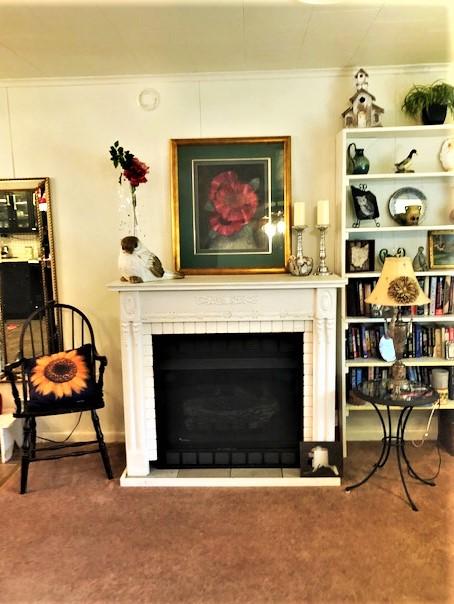 6914 DC Caney Ridge Road Coeburn, VA 24230 - Photo 13 of 27 New gas fireplace!