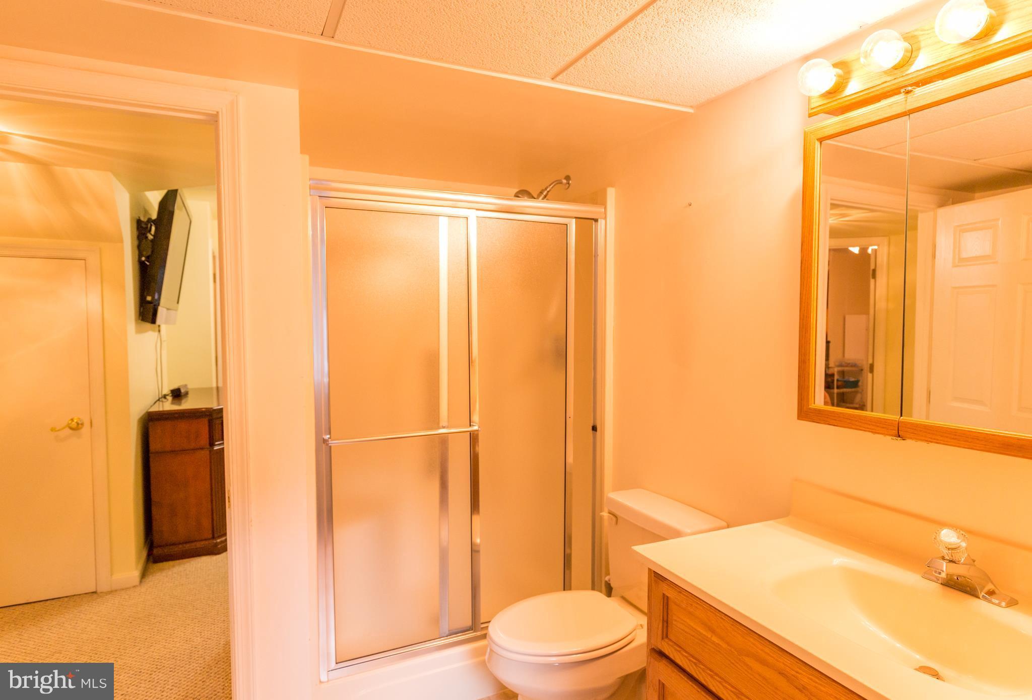 426 Dembytown Road Joppa, MD 21085 - Photo 29 of 30 Bath Full in Lower Level