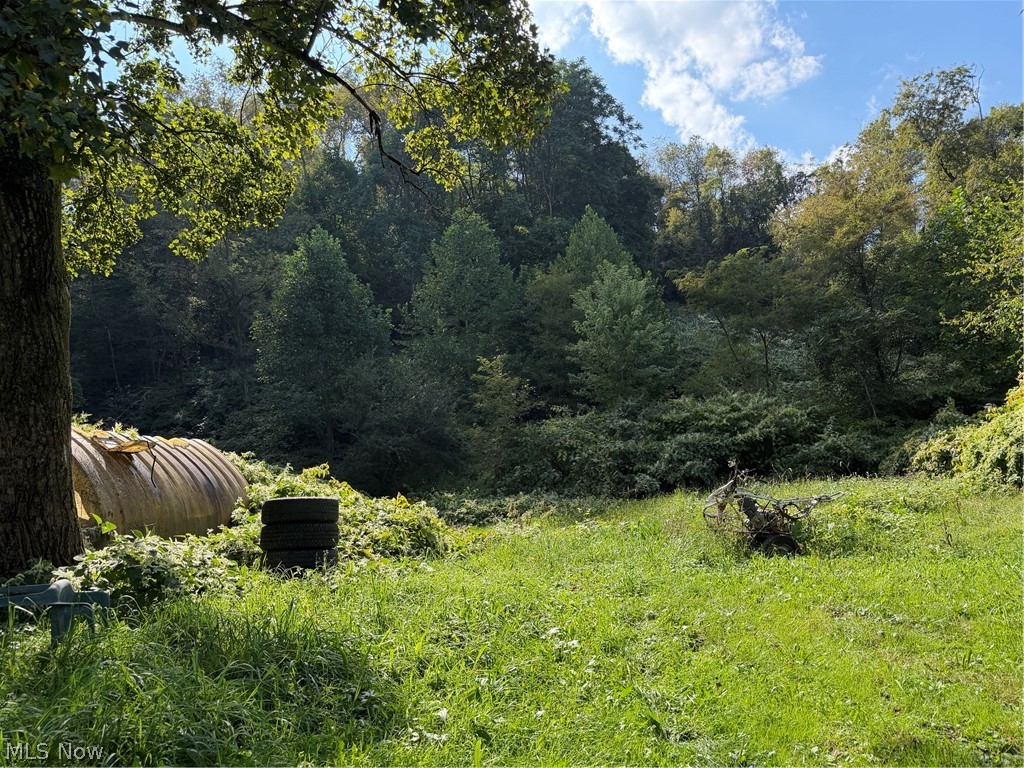 0 First Street Extension Chester, WV 26034 - Photo 2 of 3 Flat building area cleared and surrounded by beautiful woods and wildlife.