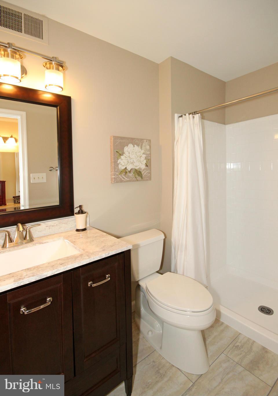 7207 Reservation Drive Springfield, VA 22153 - Photo 18 of 29 Bath (Master)