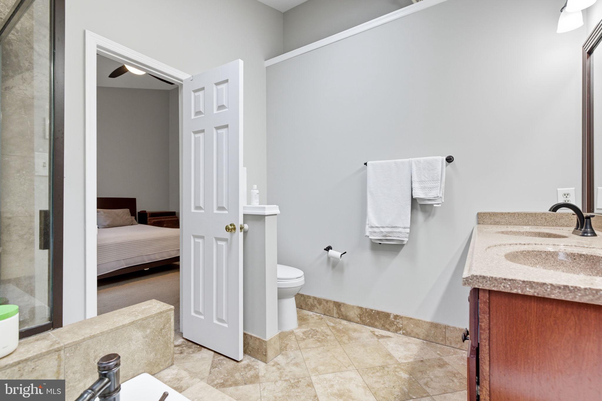47587 Comer Square Sterling, VA 20165 - Photo 37 of 77 a en suite bathroom with a granite countertop sink and a mirror