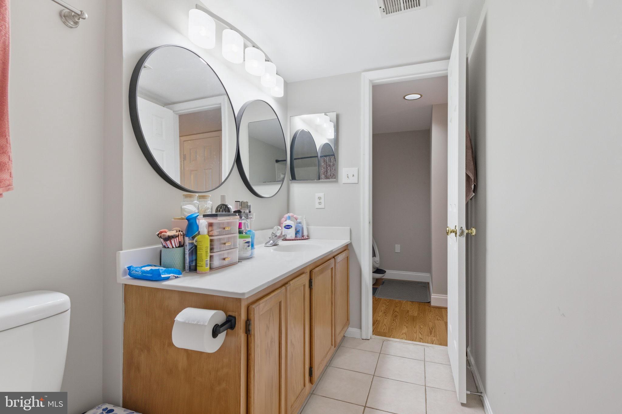 47587 Comer Square Sterling, VA 20165 - Photo 60 of 77 a bathroom with a sink and a mirror
