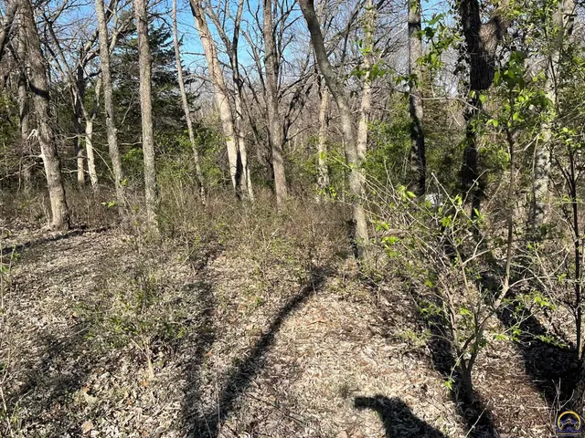 $10,000 | 6481 Kimberly Drive, Ozawkie, KS 66070