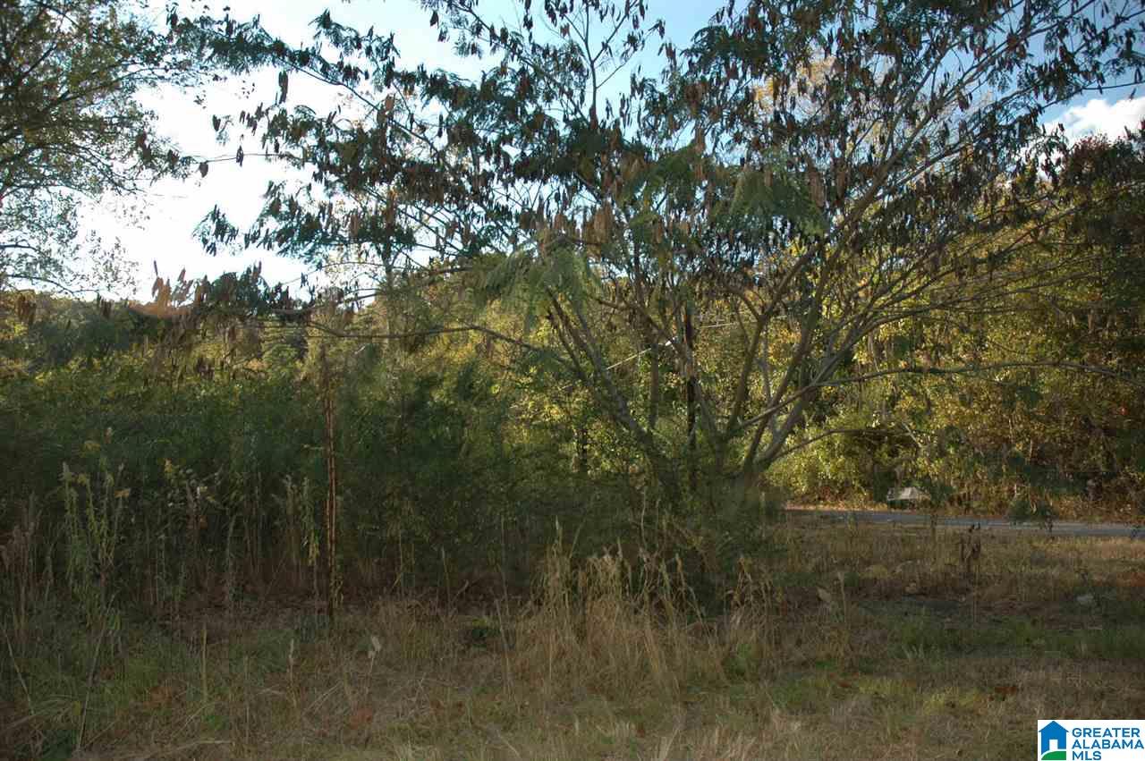4100 Center Point Road Pinson, AL 35126 - Photo 3 of 5