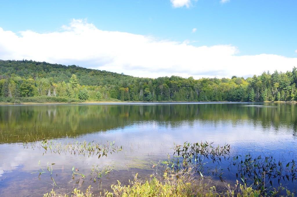 Off Matthews Road Monson, ME 04464 - Photo 2 of 15 Moores, Goodell Pond