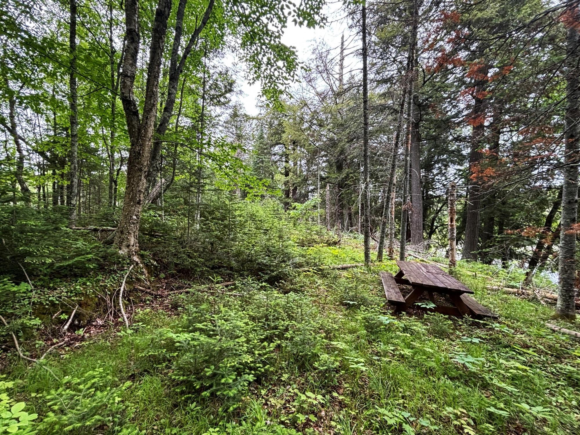 On On Pardee Lake Road Mercer, WI 54547 - Photo 11 of 13 Gallery Image 11