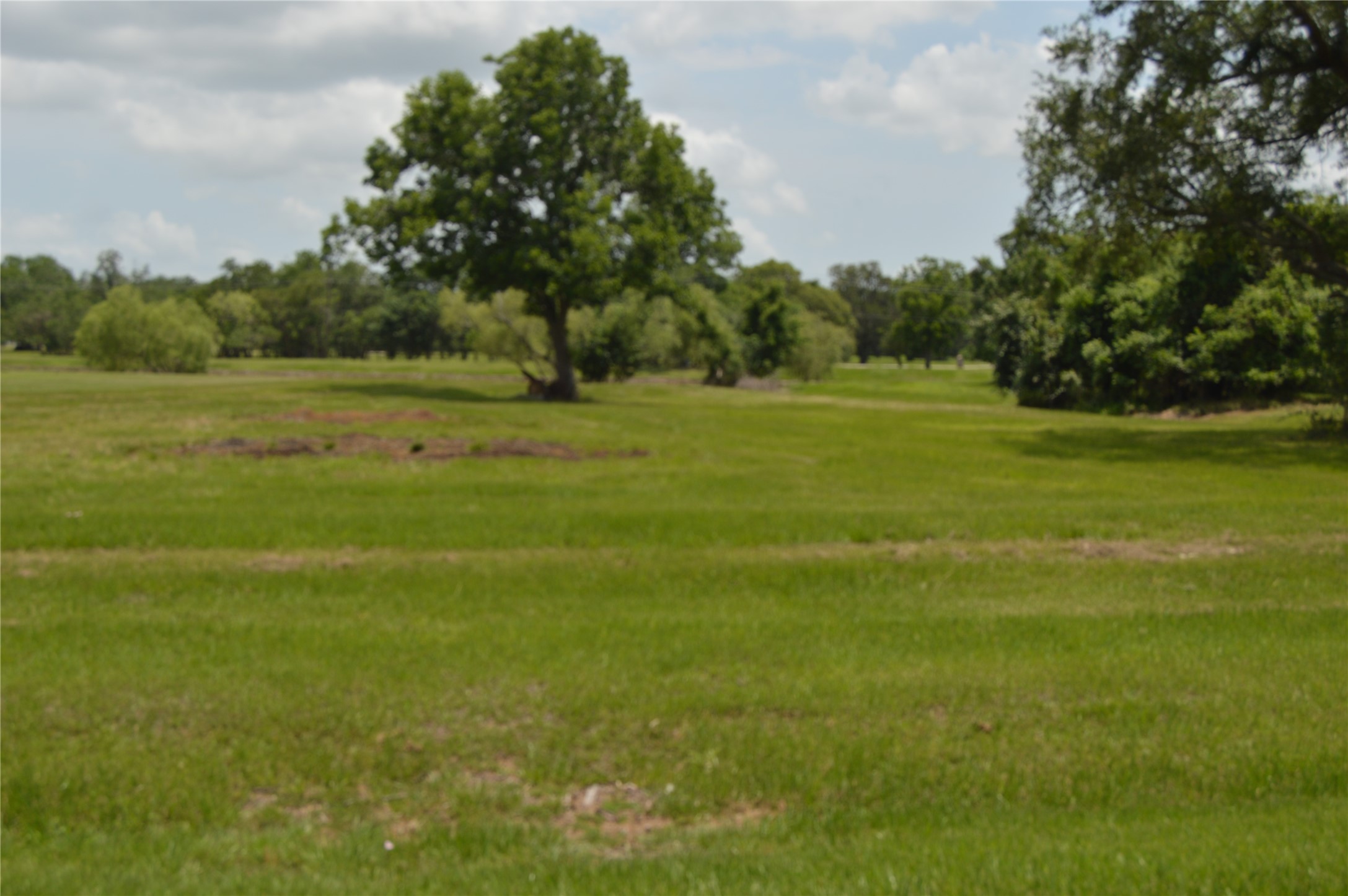 327 Cavalry Trail Drive Rosharon, TX 77583 - Photo 3 of 3