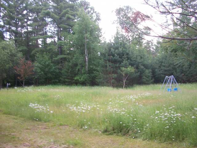 320 Illinois Road Eagle River, WI 54521 - Photo 9 of 9 Gallery Image 9
