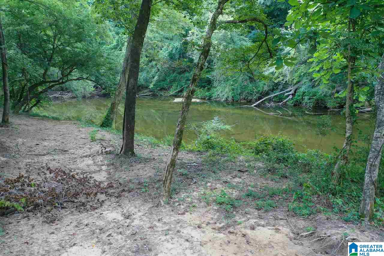 443 Old Pineywoods Road, Unit 443 Jasper, AL 35504 - Photo 9 of 9