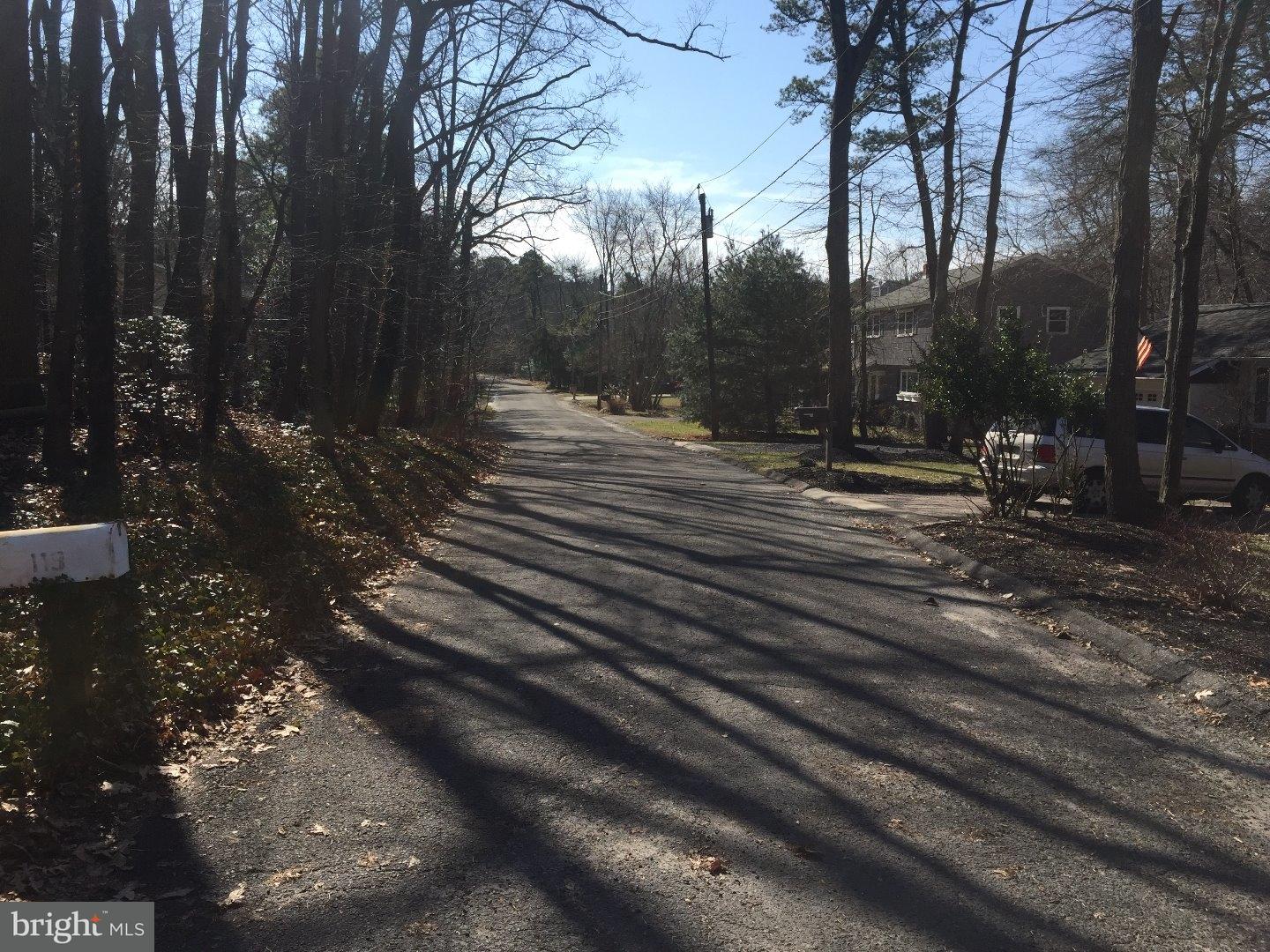 119 Manhasset Trail Medford Lakes, NJ 08055 - Photo 20 of 21 View from Front Door