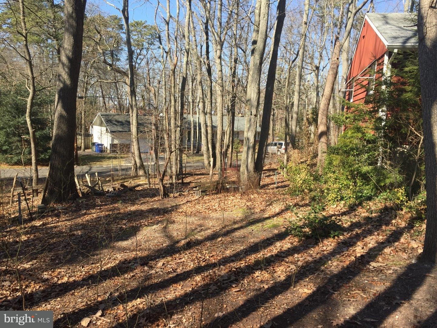 119 Manhasset Trail Medford Lakes, NJ 08055 - Photo 5 of 21 Back Yard