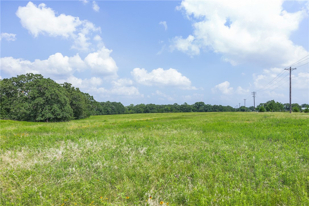 0 Hopes Creek Road College Station, TX 77845 - Photo 13 of 24