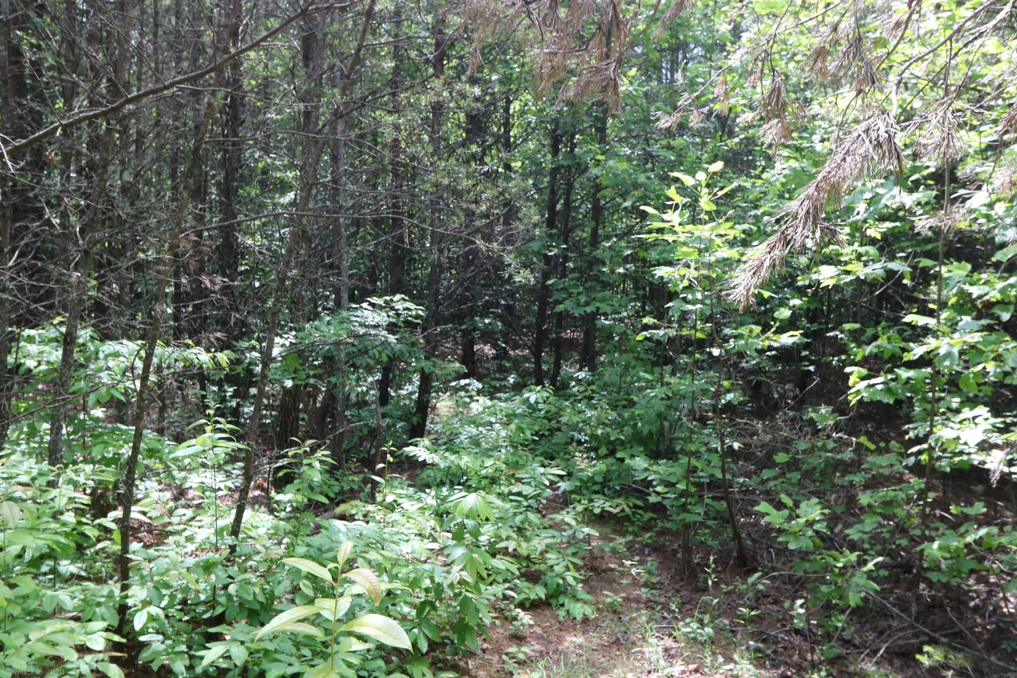 Tbd Carver Lee Road Ferrum, VA 24088 - Photo 10 of 11 Gallery Image 10
