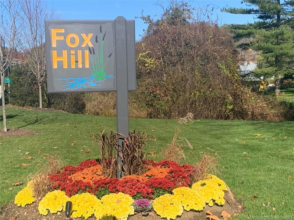 a view of outdoor space yard and patio