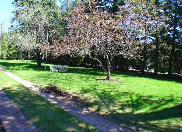 4127 London Road Duluth, MN 55804 - Photo 3 of 4 Gallery Image 3