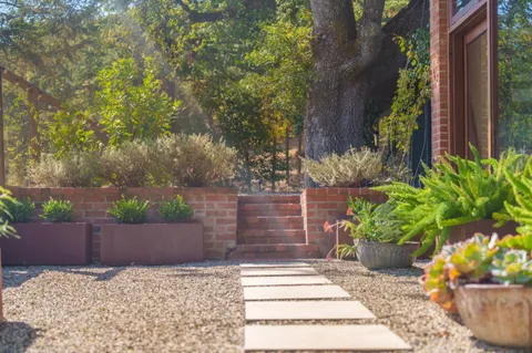 a view of a garden with potted plants