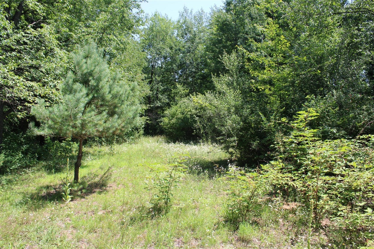 -vl Brown Road Vassar, MI 48768 - Photo 24 of 31 Gallery Image 24