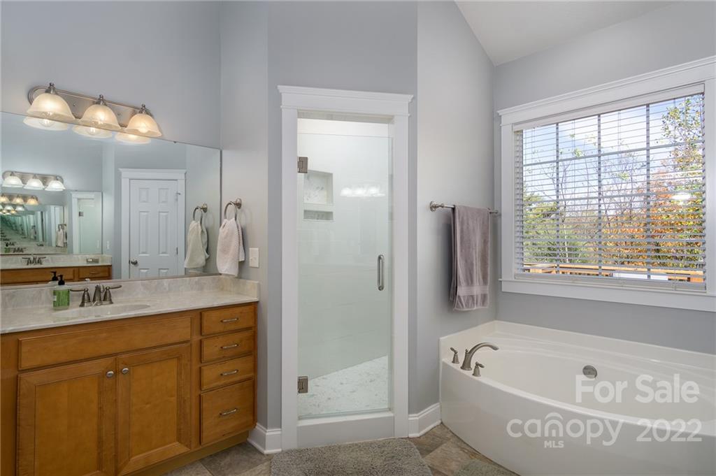 225 Nut Hatch Loop Arden, NC 28704 - Photo 19 of 48 a bathroom with a tub a sink shower and mirror