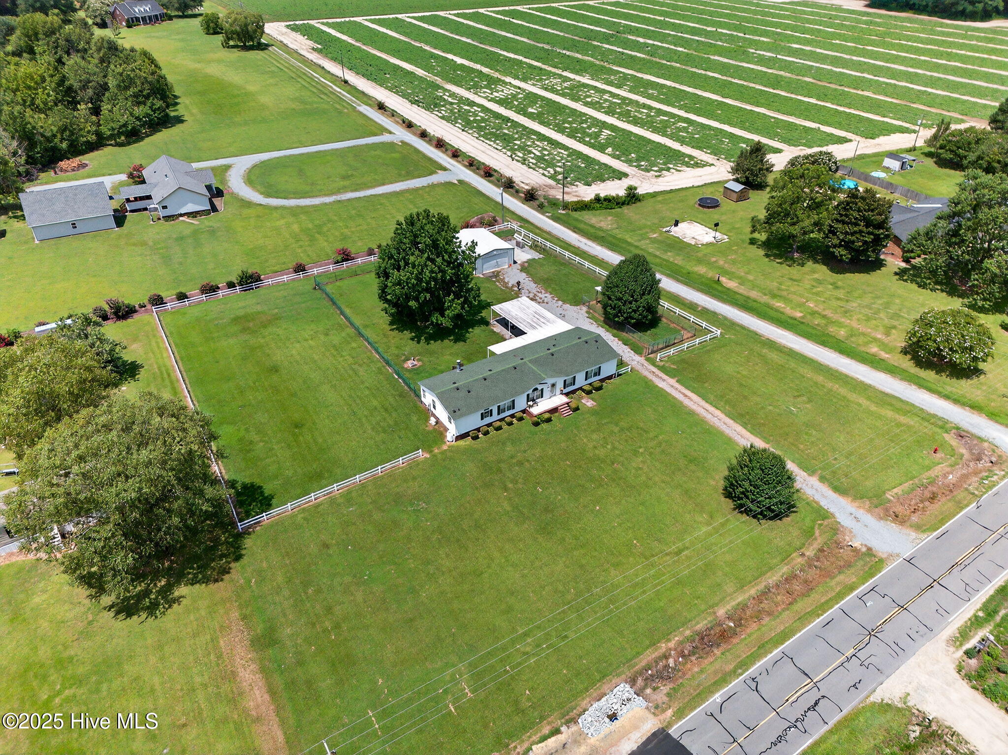 283 Princeton Road Princeton, NC 27569 - Photo 40 of 44 40-web-or-mls-DJI_20250723125947_0136_D