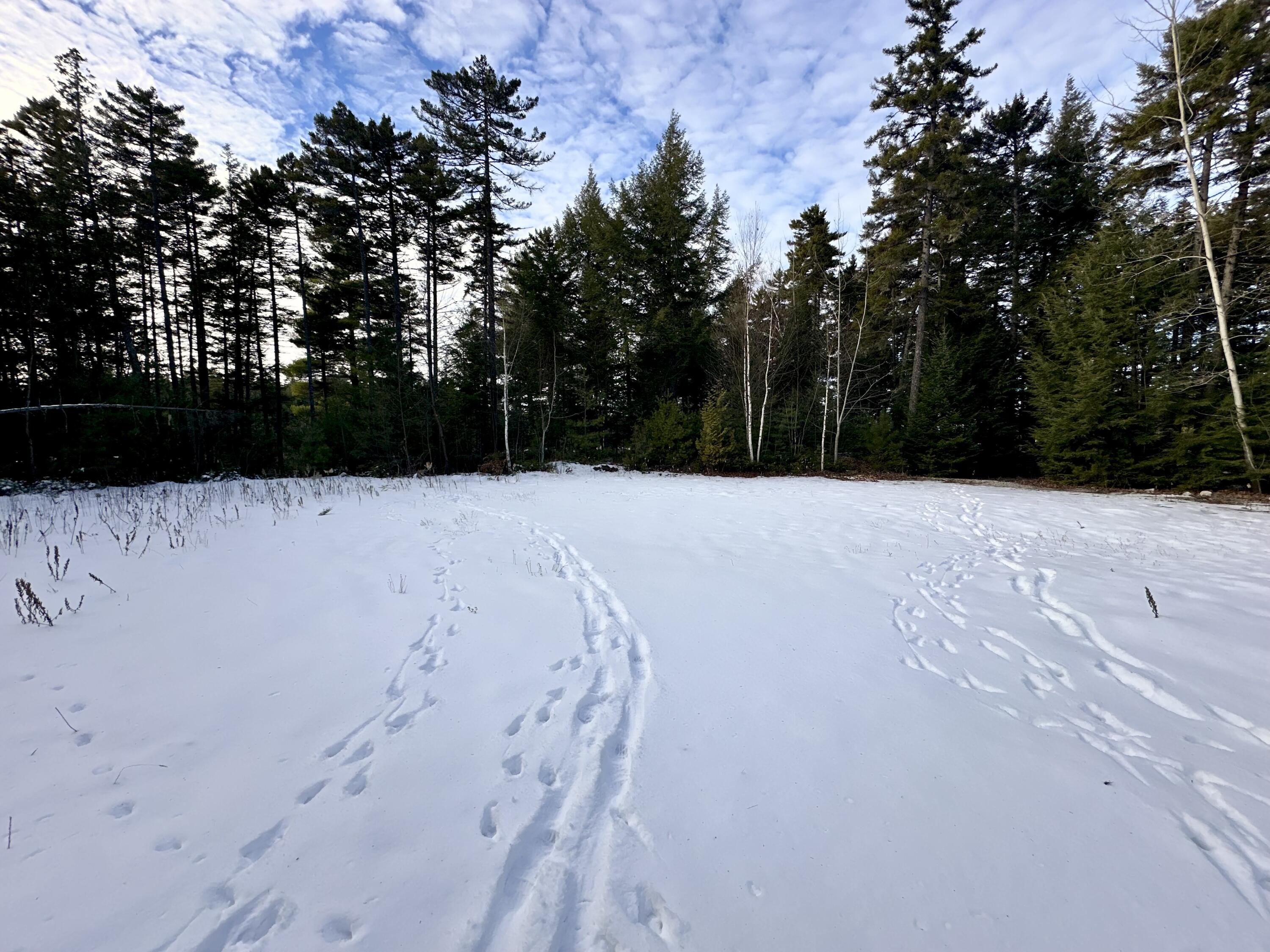Lot 220 Benjamin Way Millinocket, ME 04462 - Photo 11 of 16 Lot 220 Benjamin Way
