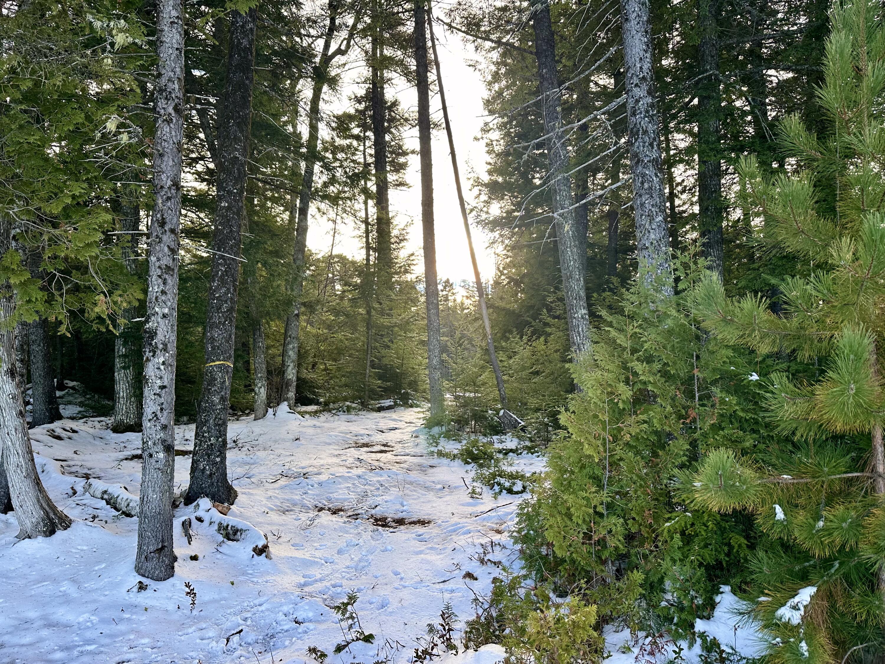 Lot 220 Benjamin Way Millinocket, ME 04462 - Photo 12 of 16 Lot 220 Benjamin Way