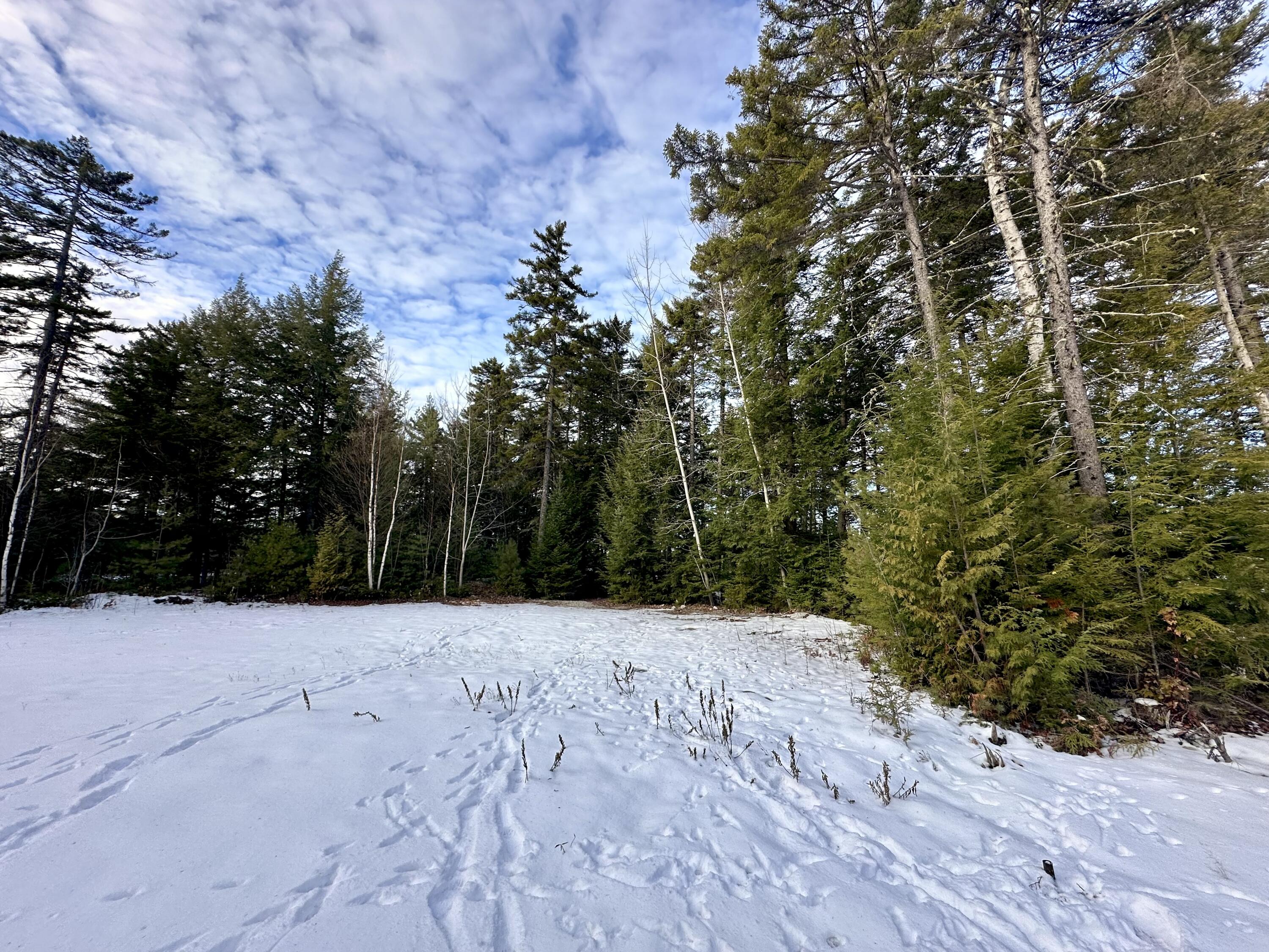 Lot 220 Benjamin Way Millinocket, ME 04462 - Photo 7 of 16 Lot 220 Benjamin Way