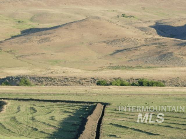 1550 Monroe Creek Road Weiser, ID 83672 - Photo 27 of 36